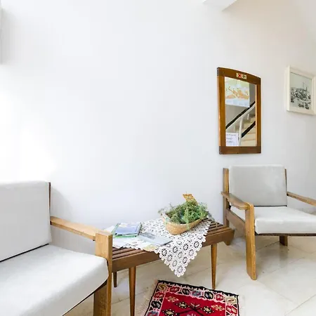 Dada 诺维·维诺多尔斯基