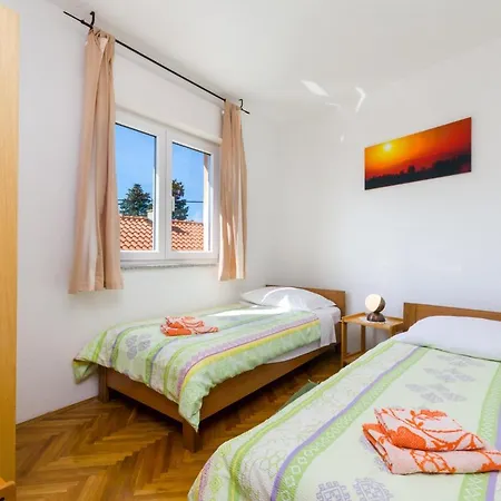 Dada 诺维·维诺多尔斯基