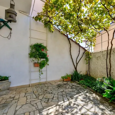 Dada * 诺维·维诺多尔斯基